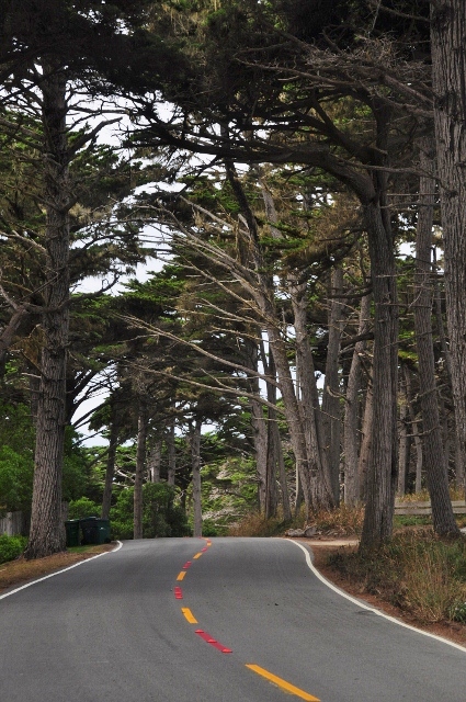 Cypress Grove